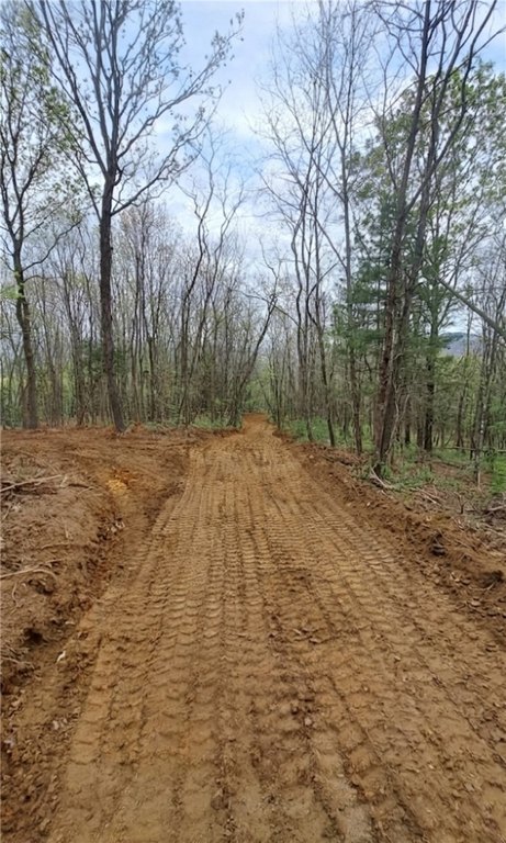 Picture 3