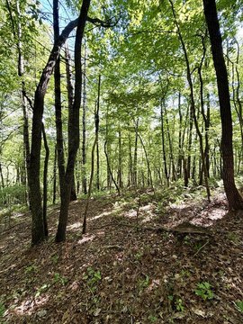 Unrestricted Land Near Hanging Dog Creek