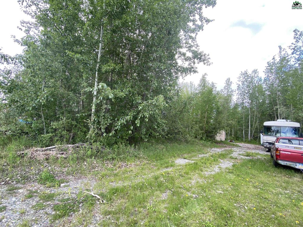 Picture 7