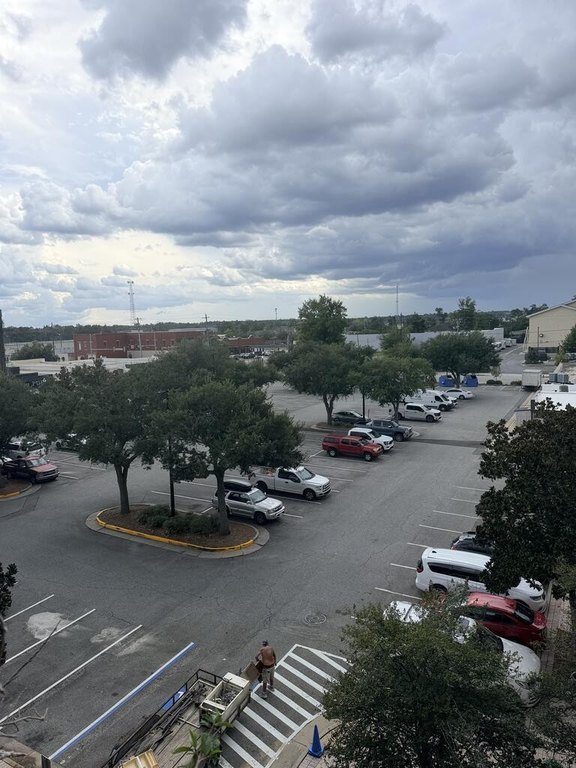 Picture 20