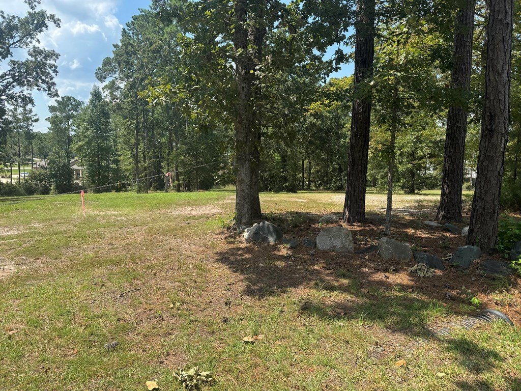 Picture 9