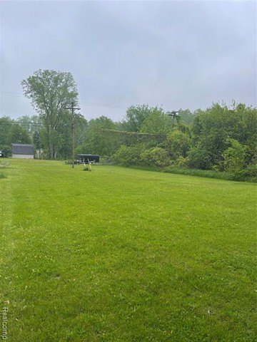 Picture 2
