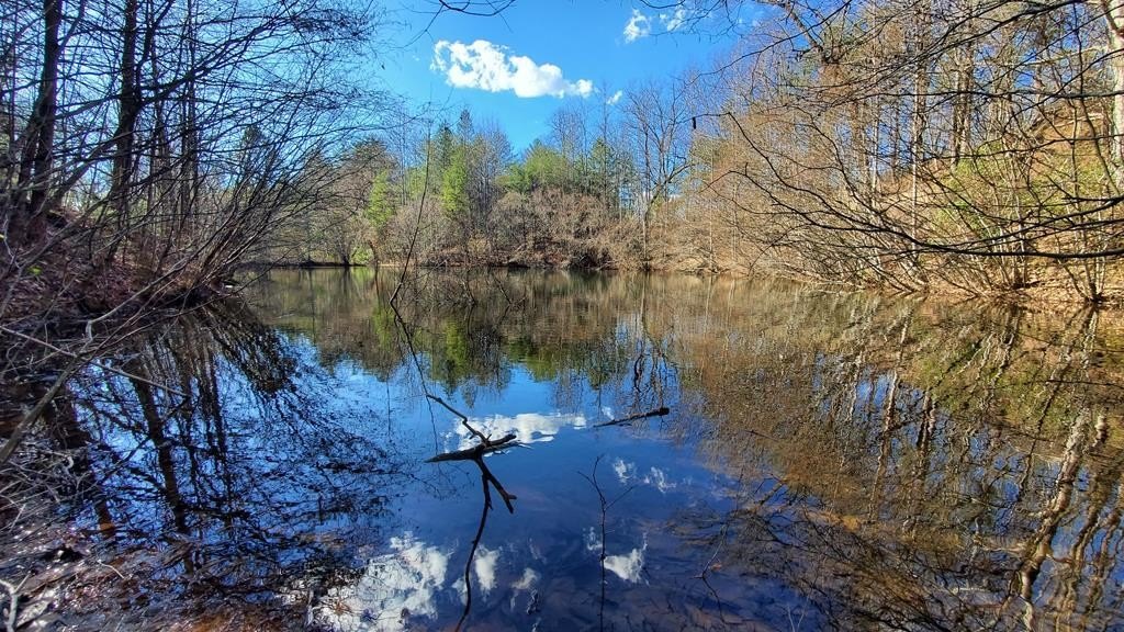 51+ Acres in Cherry Log
