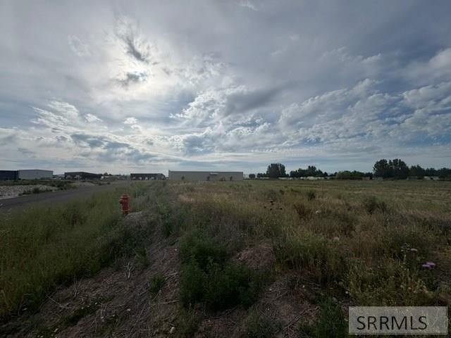 Picture 6
