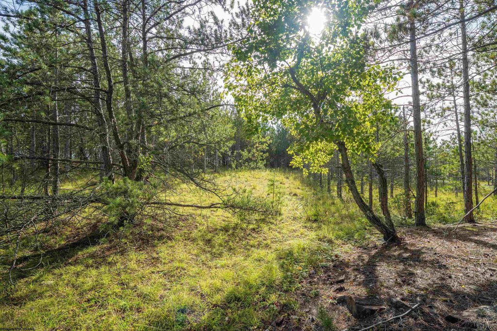 Picture 6