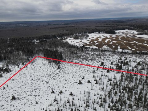 Secluded 40-Acre Wilderness Parcel