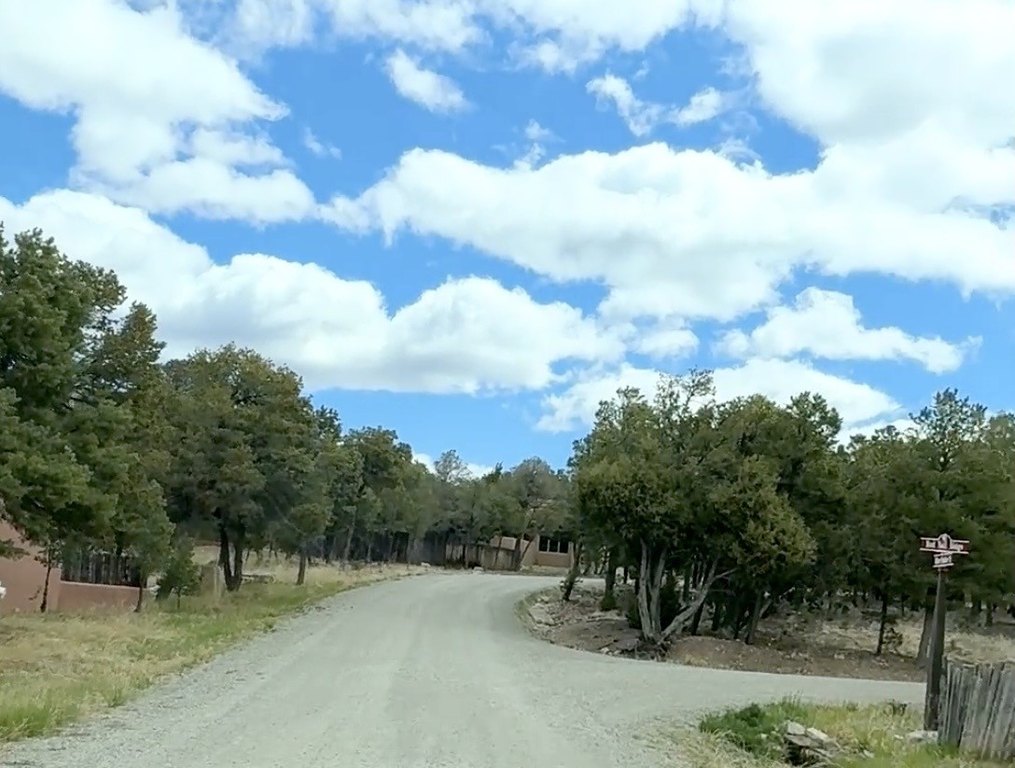 Picture 7