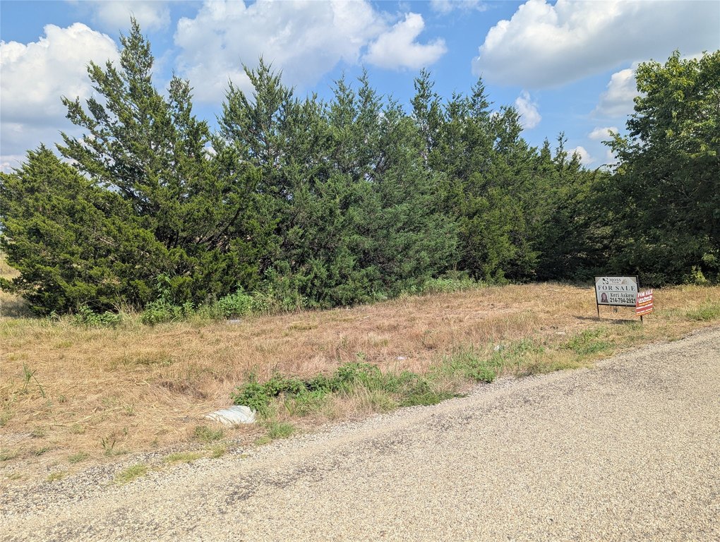 Picture 5