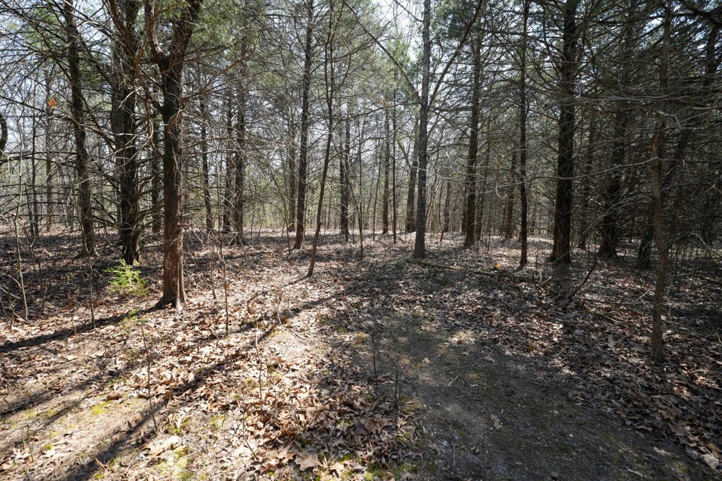 Picture 25