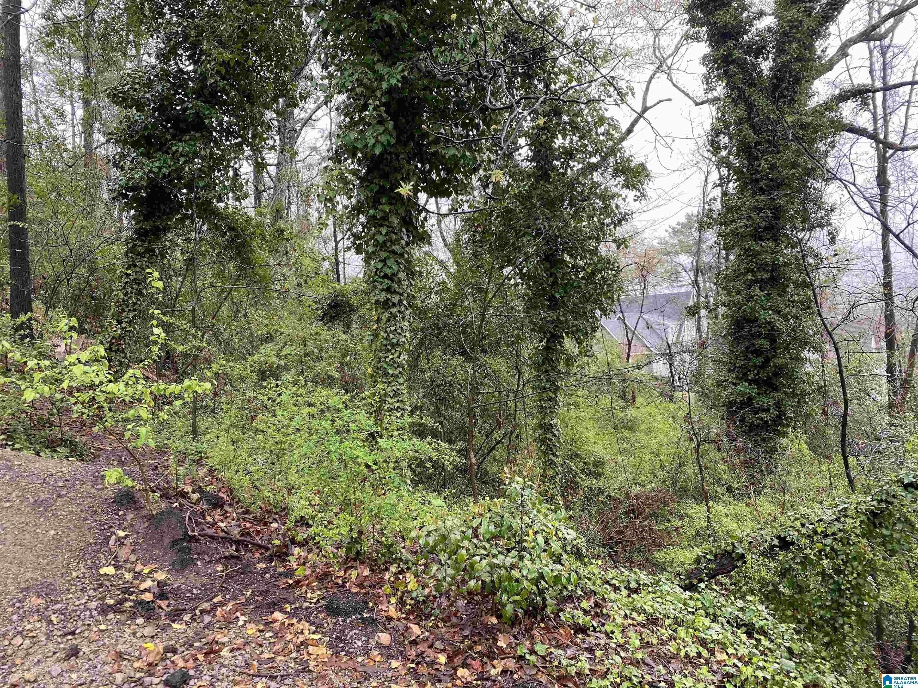 Residential Lot in Edgewood