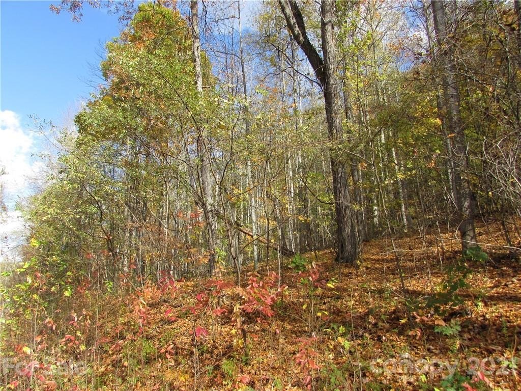 Mars Hill Land Opportunity