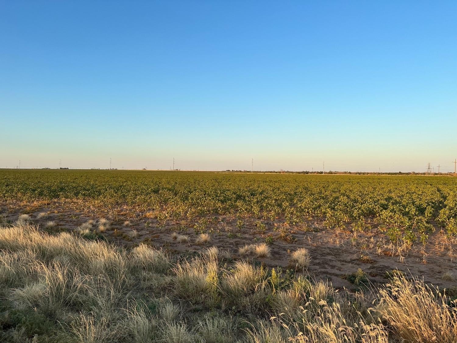 Lubbock Land Tract For Sale