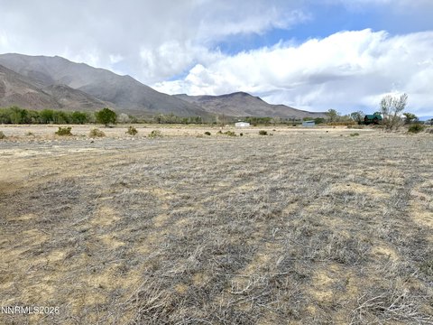 LAND - Yerington, NV