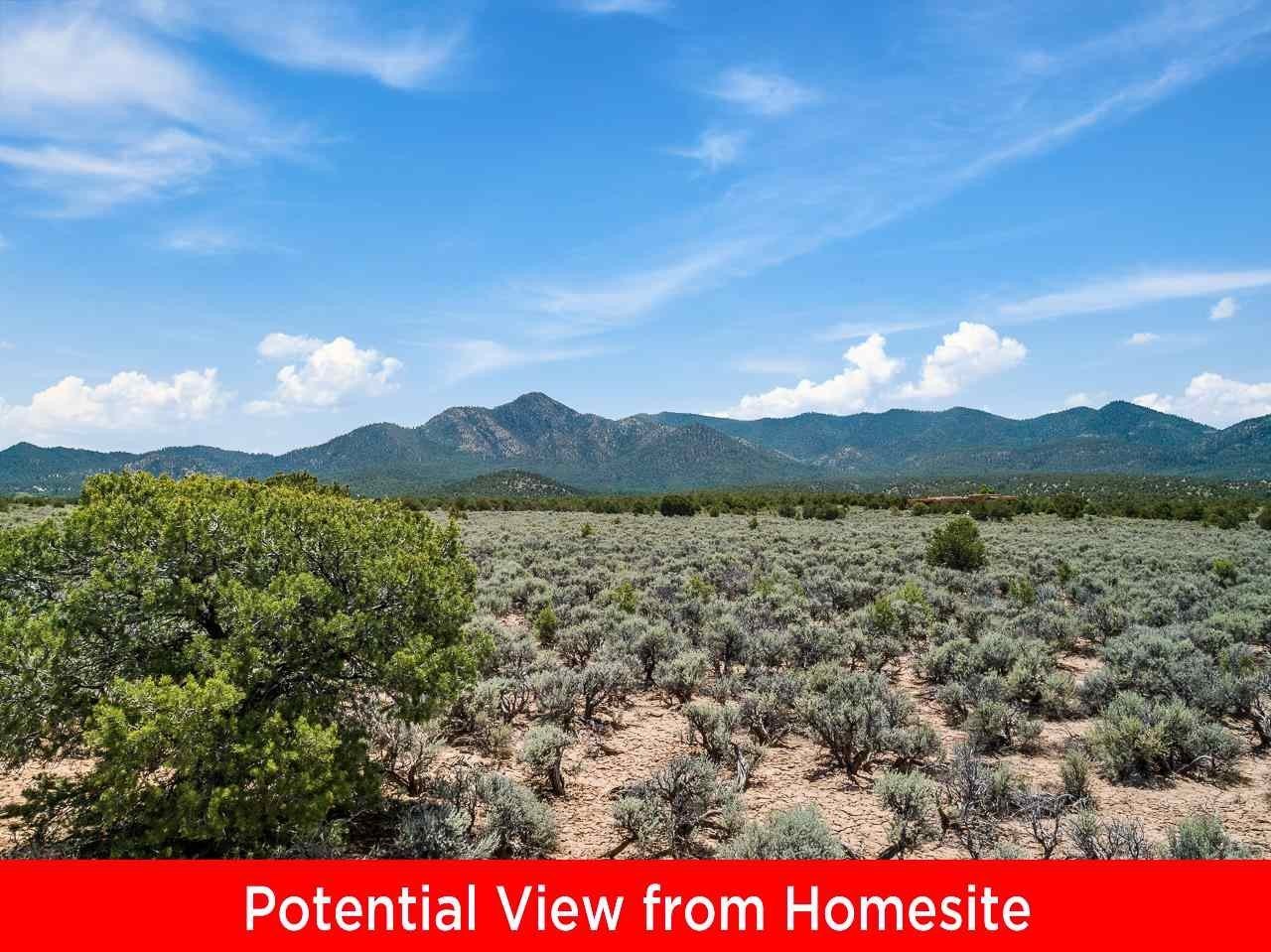 Ranchos de Taos Acreage