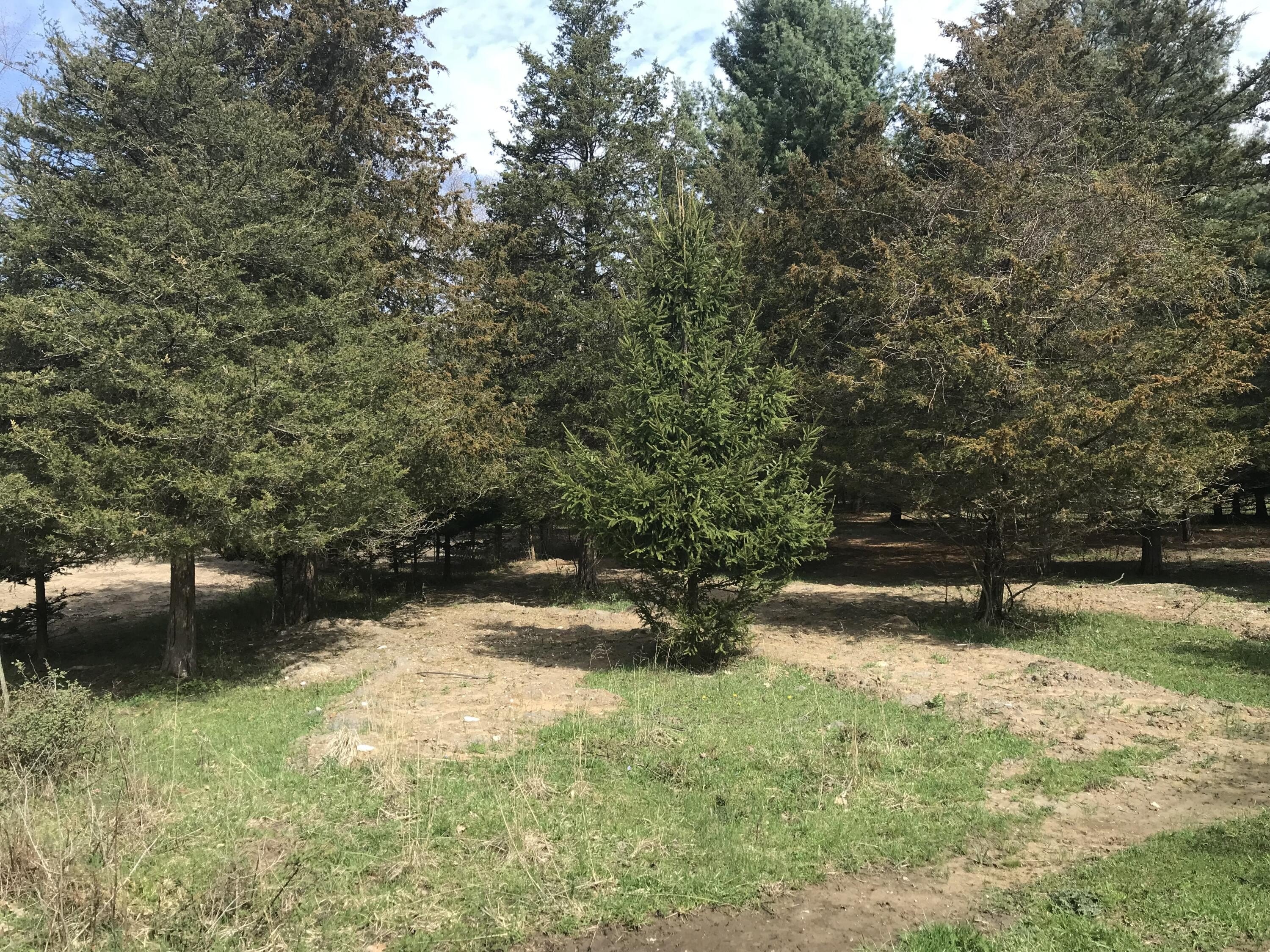 South Haven Homesite Opportunity
