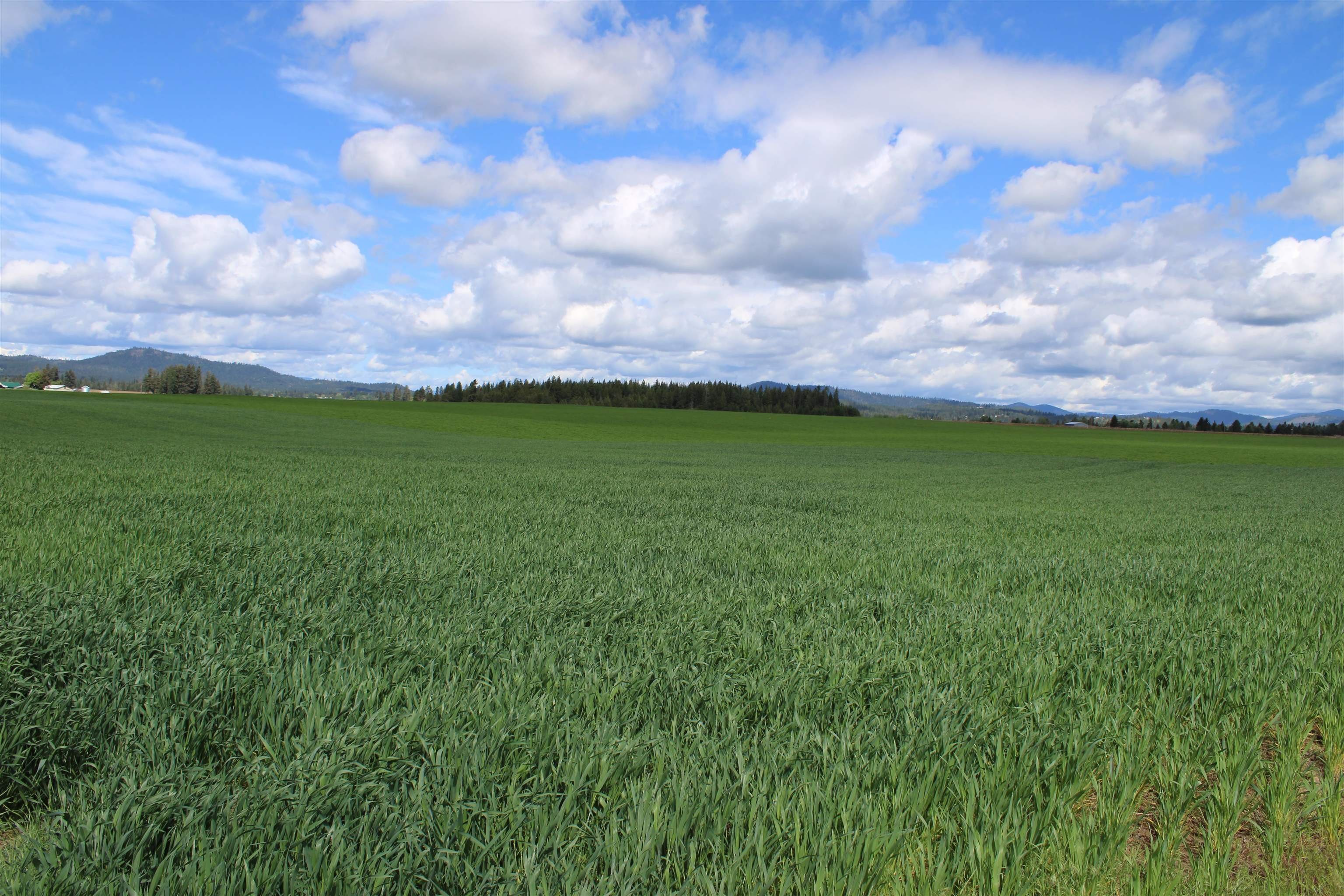 Deer Park Land with Views