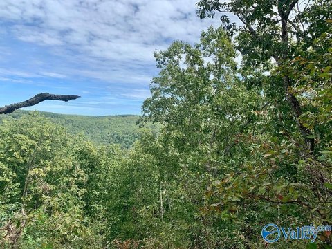 Land, Gurley, AL