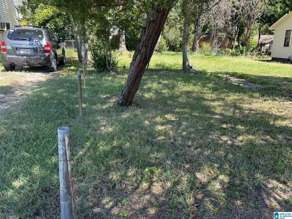 Picture 16