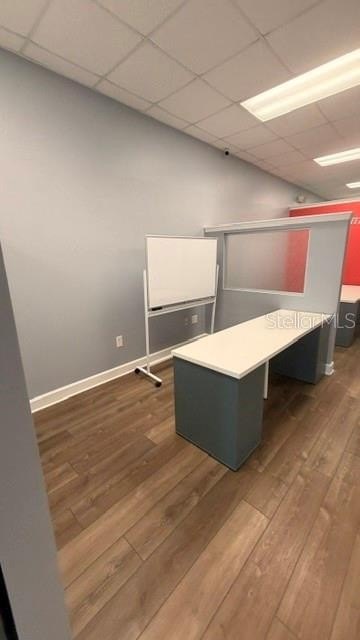 Picture 17