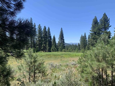 Portola Homesite with Golf Course Views