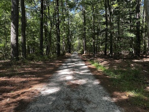Land, ACCOMAC, VA