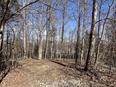 Wooded Residential Lot in Golf Community