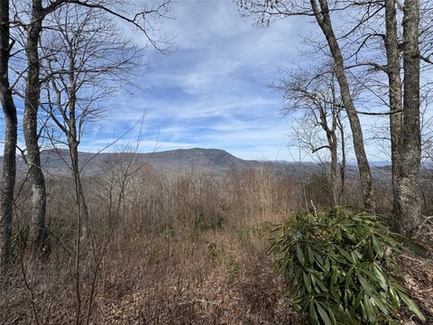 Sapphire, NC Homesite with Views