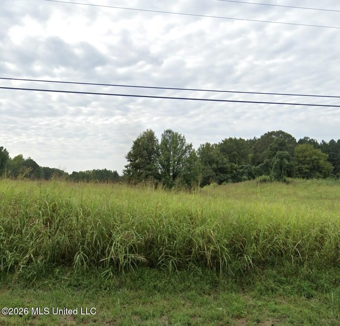 Residential Land in Lake Cormorant