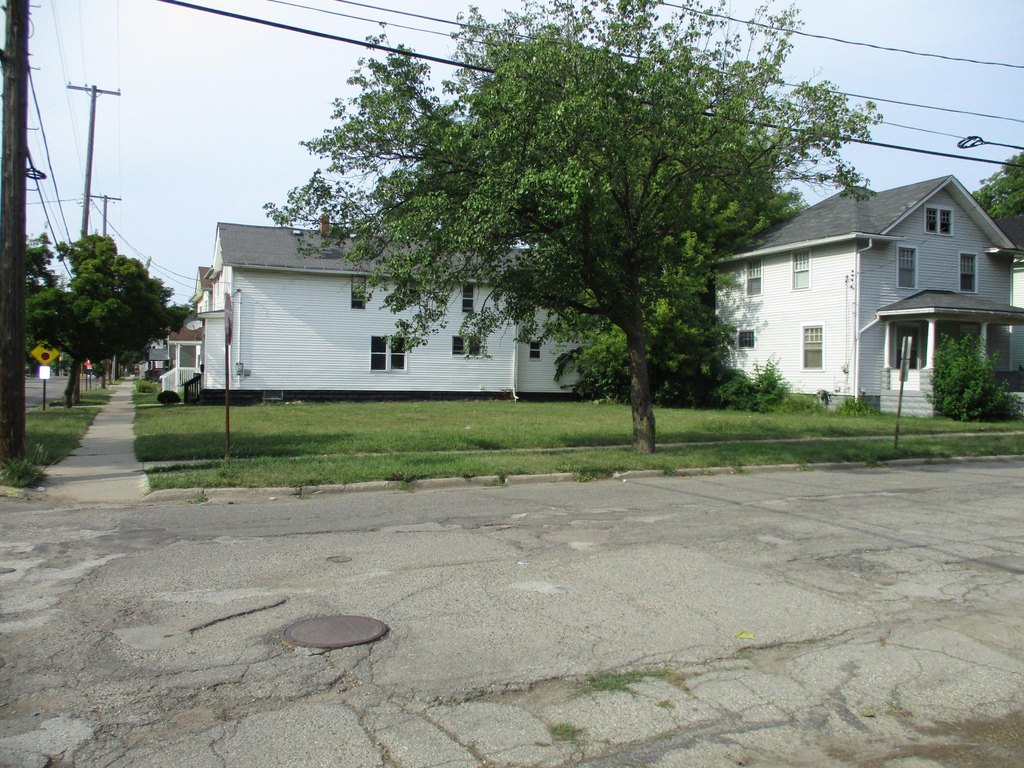Picture 7