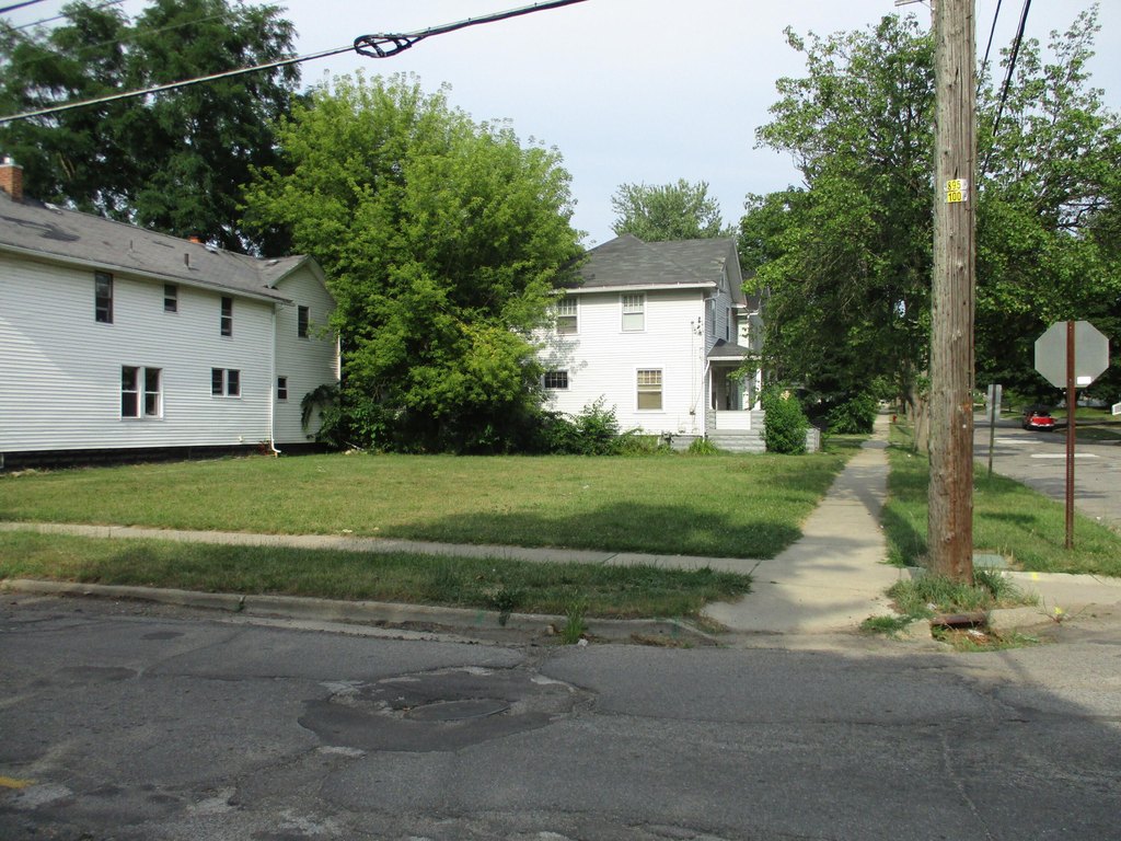 Picture 3