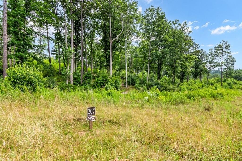 Talking Rock Vacant Mountain Lot