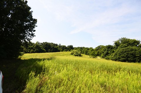 63 Acres Hunting and Farmland