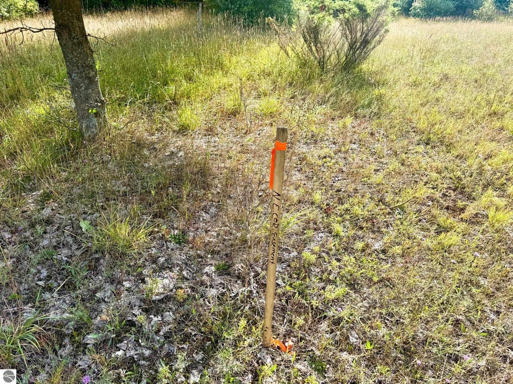 Picture 22