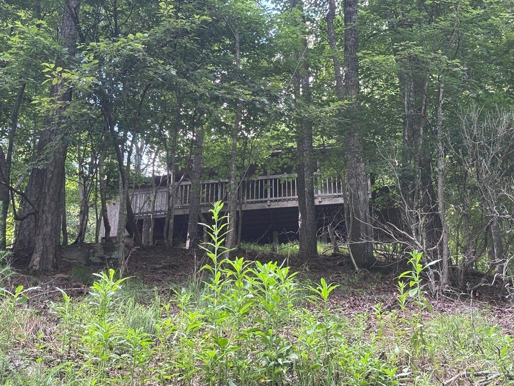 Picture 3