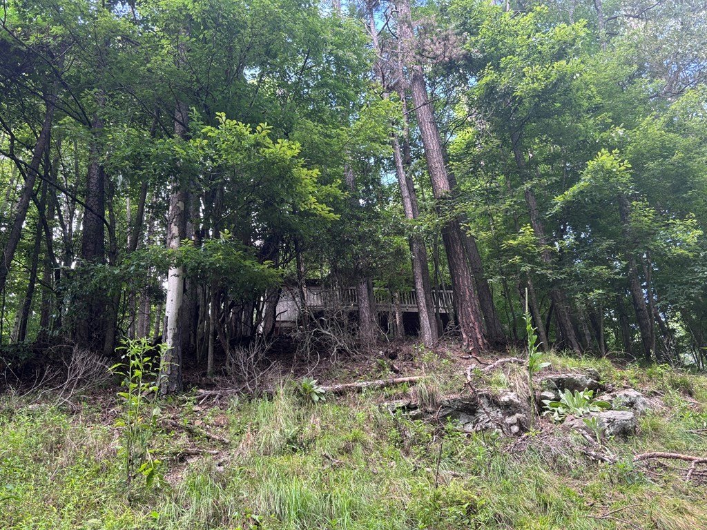 Picture 5