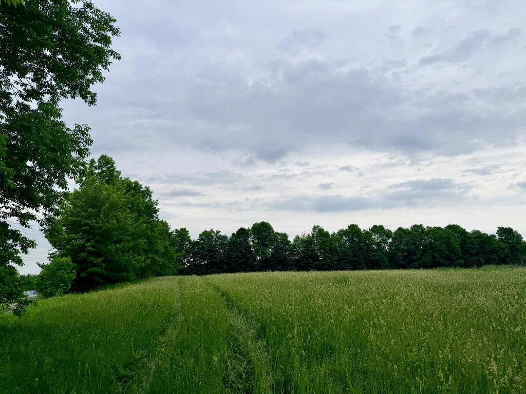 Picture 17