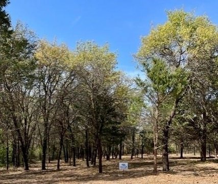 Acreage Home Lot on Main Road