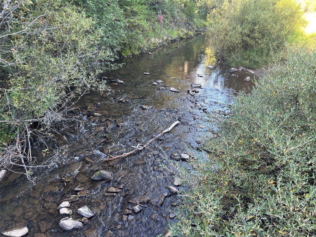 Picture 41