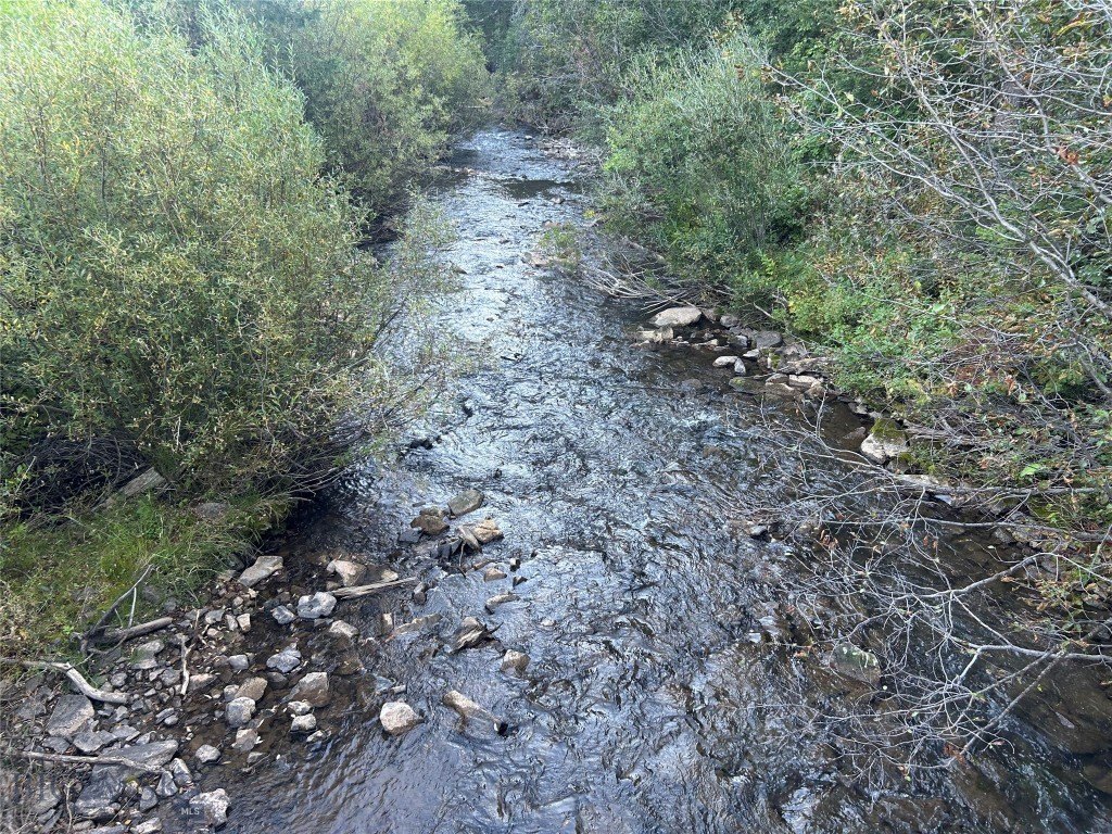 Picture 42