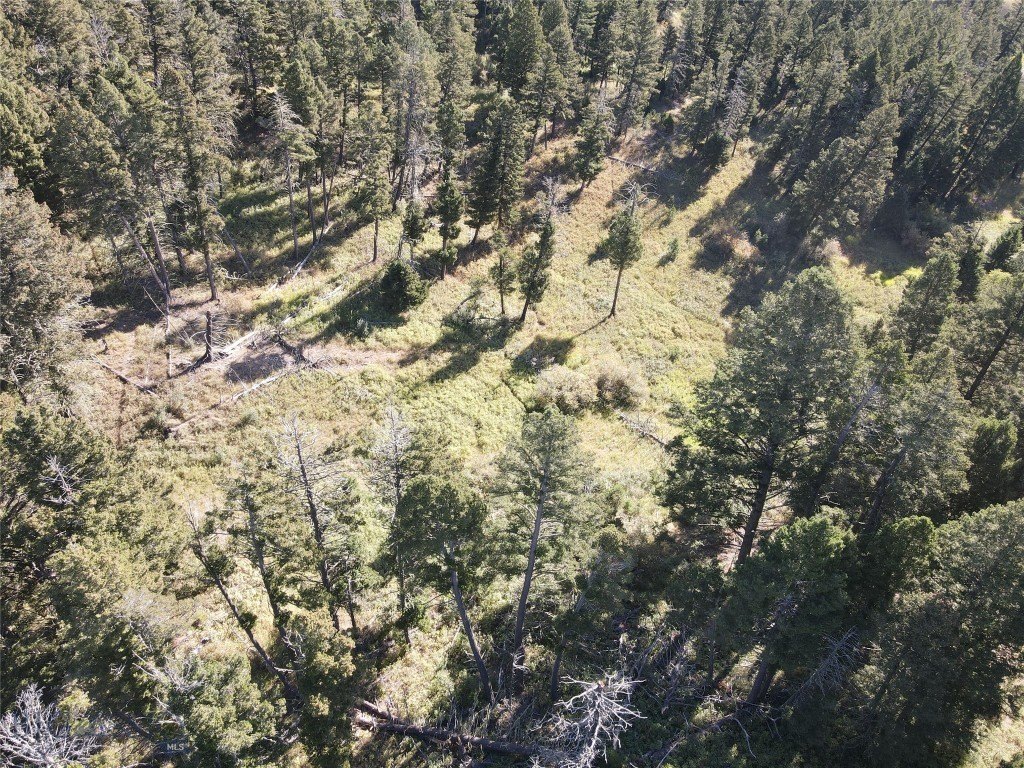 Picture 17