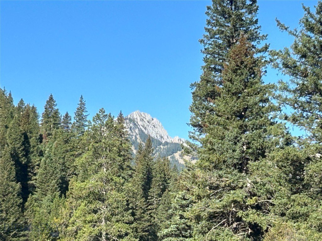 Picture 44