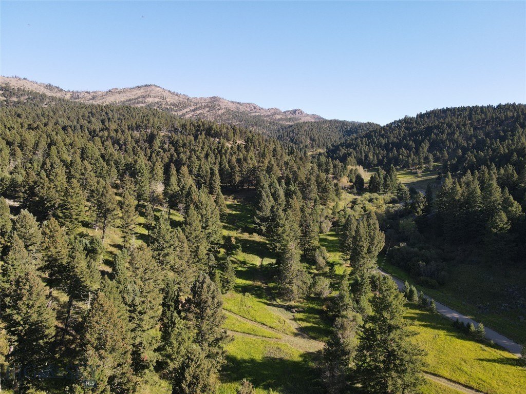 Picture 30