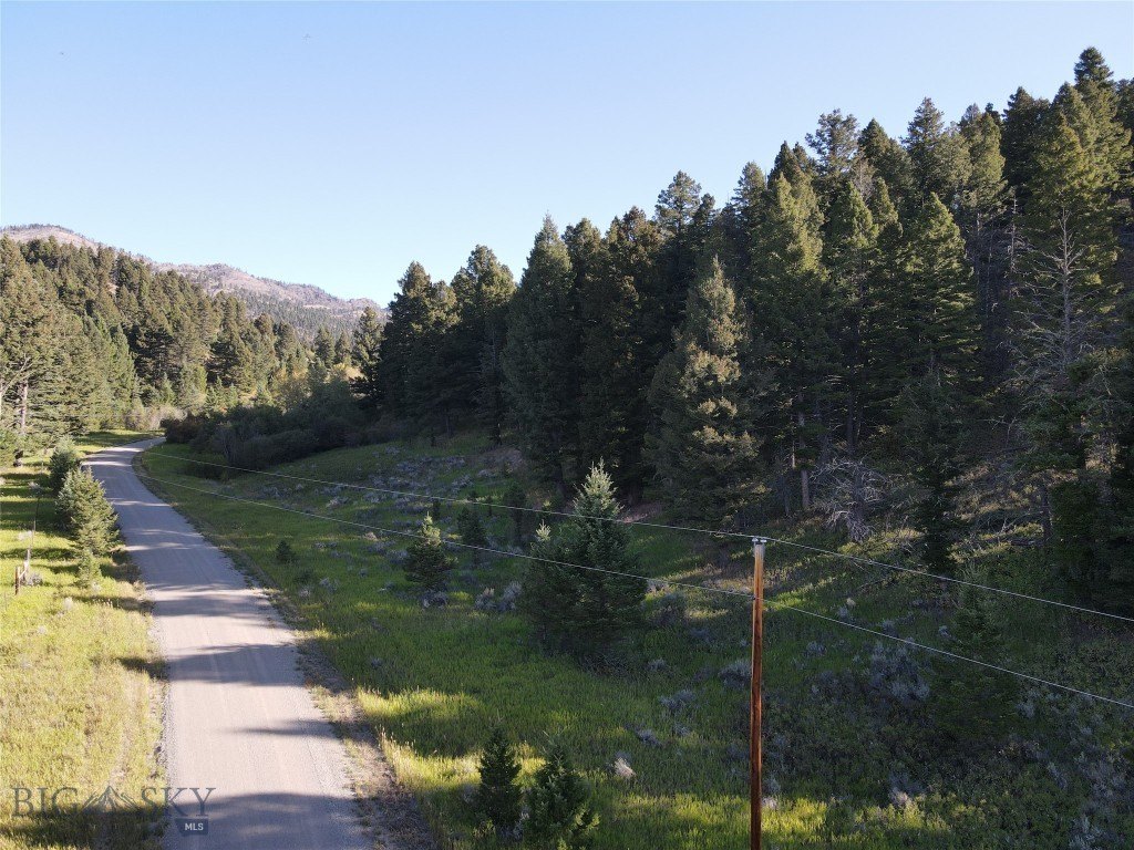 Picture 36