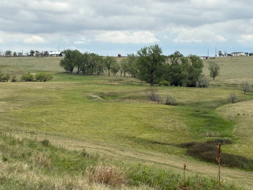 Picture 28