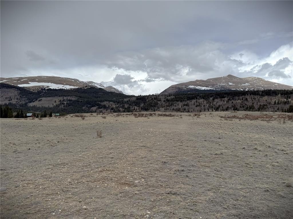 Picture 14