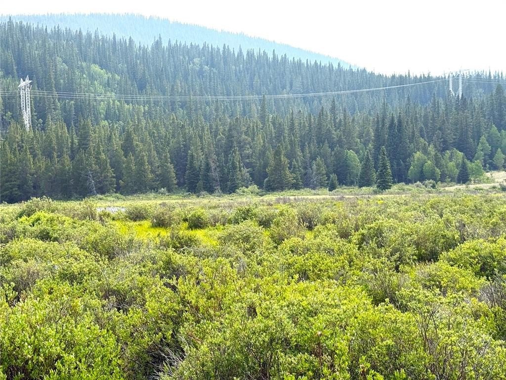 Picture 25