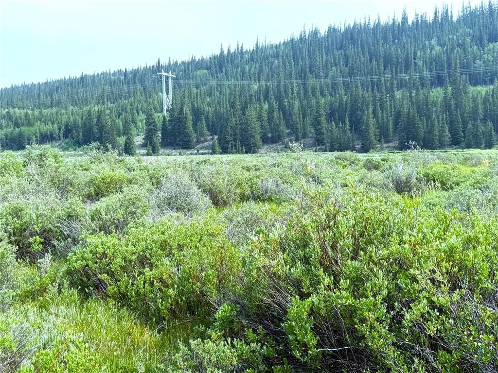 Picture 24