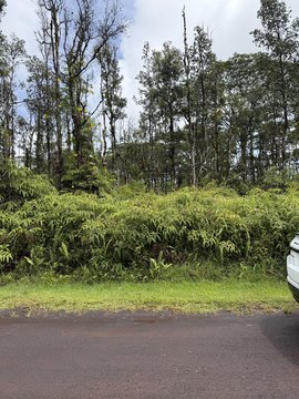 Land, Pahoa, HI
