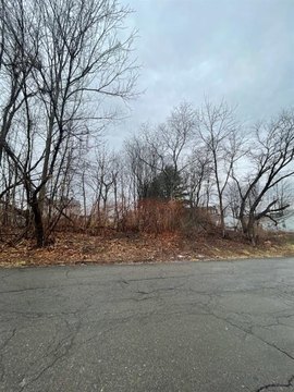 LAND - ENDICOTT, NY