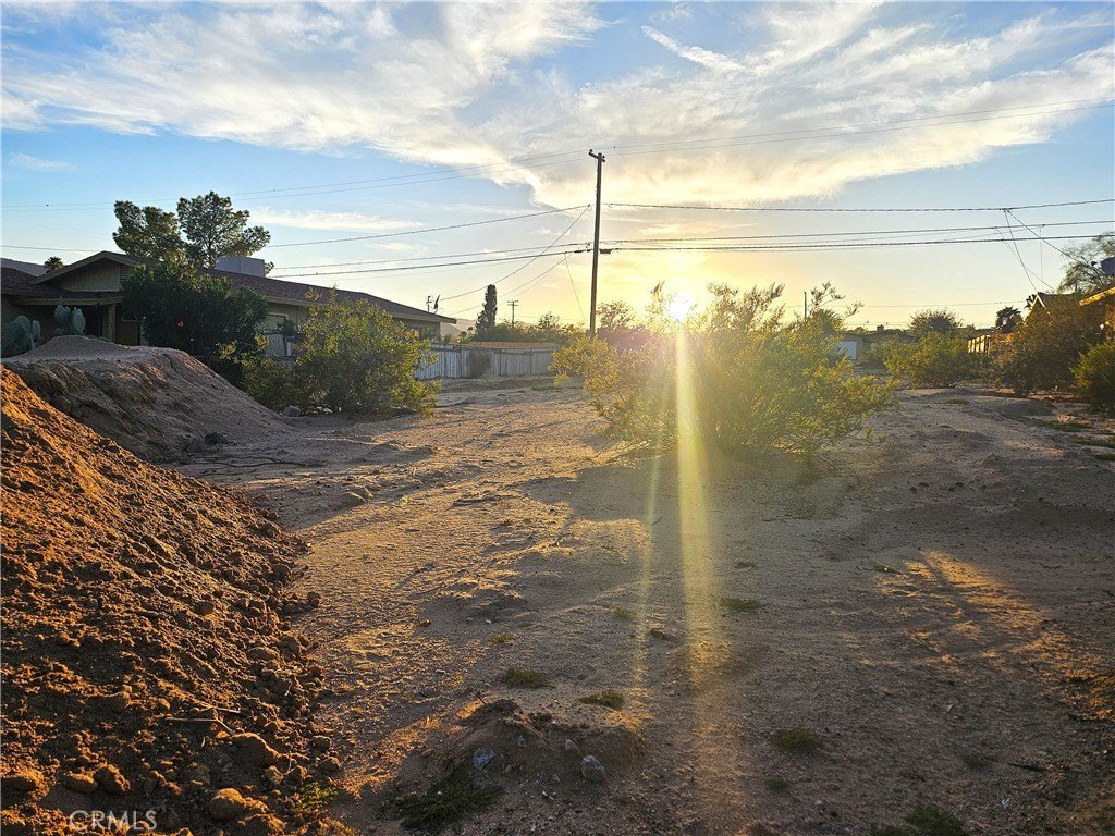 Picture 2